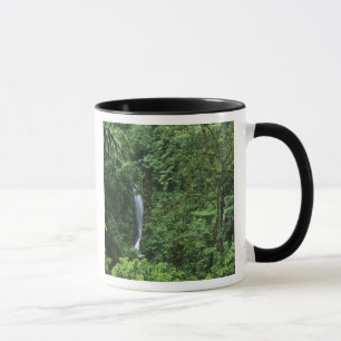 Mug Costa Rica, région du volcan Arenal, ponts suspend