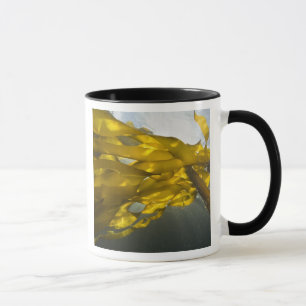 Mug Côté sud de l'île Ewing, îles San Juan,