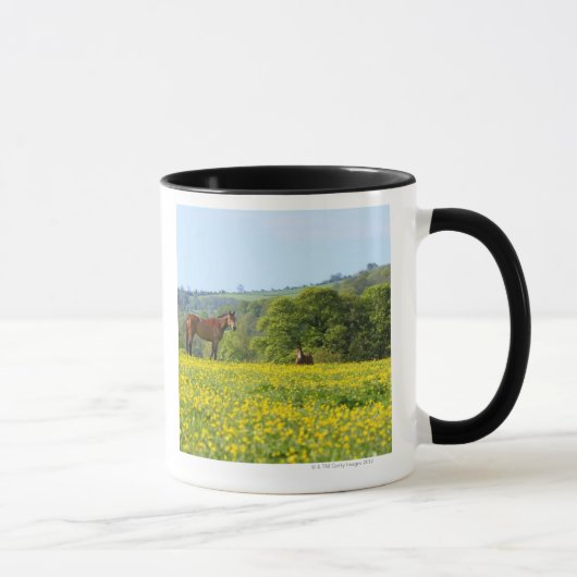Mug Cotswolds, R-U (Droite)