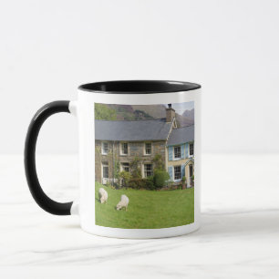 Mug Cottages, Beddgelert, Gwynedd, Pays de Galles