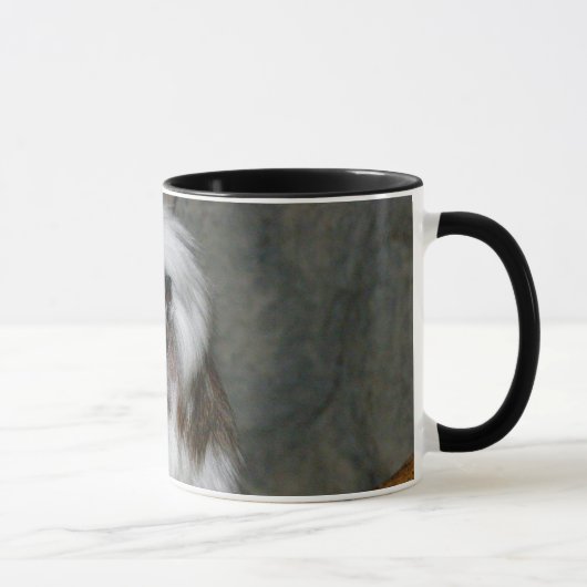 MUG COTTON-TOP TAMARIN2 (Droite)