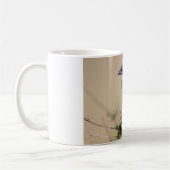 Mug Coucal de Burchell (Gauche)