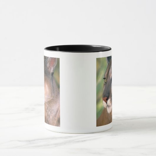 Mug Cougar, Californie (Centre)