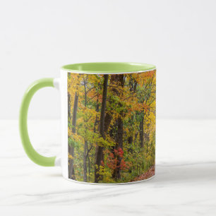 Mug Couleurs D'Automne Au Parc D'État De L'Indépendanc