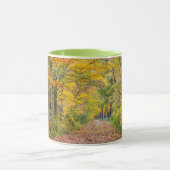 Mug Couleurs D'Automne Au Parc D'État De L'Indépendanc (Centre)