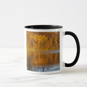 Mug Couleurs d'automne dans le parc d'état de Maplewo