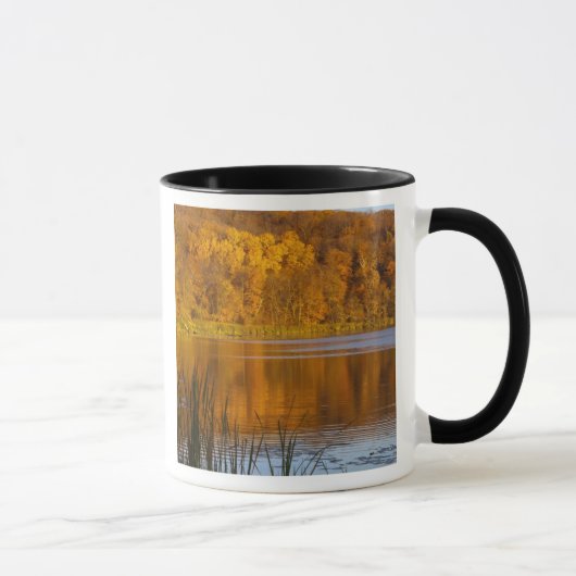 Mug Couleurs d'automne dans le parc d'état de Maplewoo (Droite)