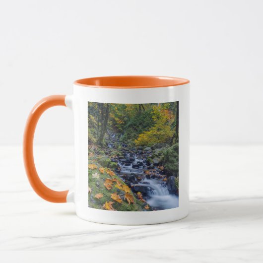 Mug Couleurs d'automne le long des chutes de Starvatio (Gauche)