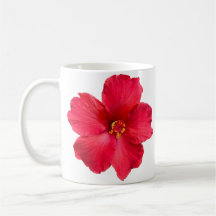 Coupe de café avec Hibiscus