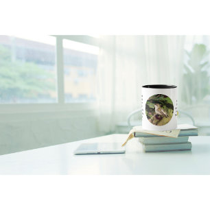 Mug Coupe du Coca-Colibri