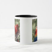 Mug Couple d'Ara rouge (Centre)