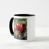 Mug Couple d'Ara rouge (Devant gauche)