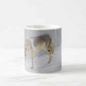 Mug Coyote (Centre)