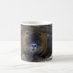 Mug Coypu