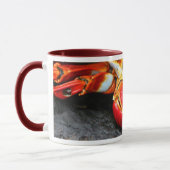 Mug Crabe de Galapagos (Gauche)