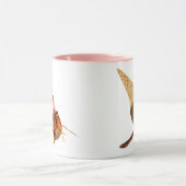 Mug Crabe mignonne Hermite Avec Coquille De Cône De Cr (Centre)