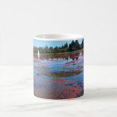 Mug Cranberry Farm, Long Beach, Washington (Centre)