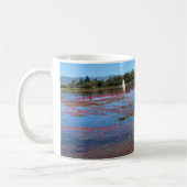 Mug Cranberry Farm, Long Beach, Washington (Gauche)