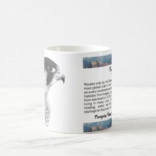 Mug Crayon de faucon pèlerin
