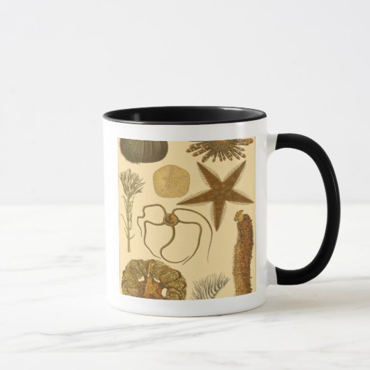 Mug Créatures sous-marines (Droite)