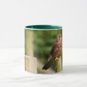 Mug Crécerelle (Centre)