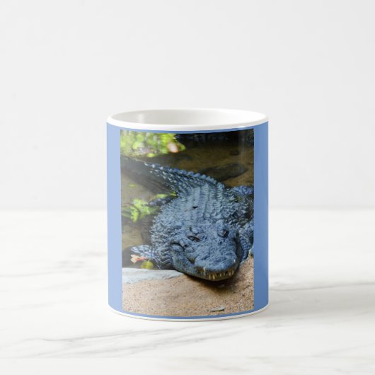 Mug Crocodile (Centre)