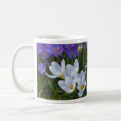 Mug Crocus frais de différentes couleurs (Gauche)
