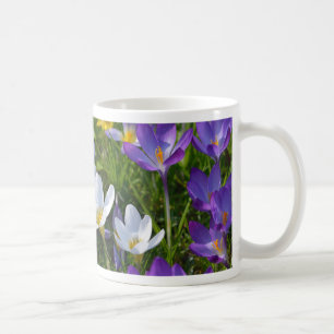 Mug Crocus frais de différentes couleurs