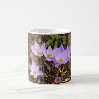 Mug Crocus magnifiques d'automne