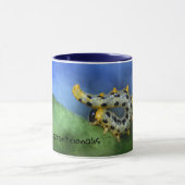 Mug Croesus septentrionalis (Centre)