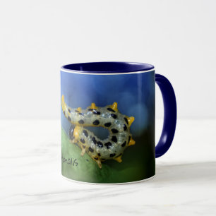 Mug Croesus septentrionalis