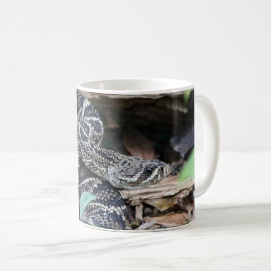 Mug Crotale (Devant droit)