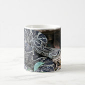 Mug Crotale (Centre)