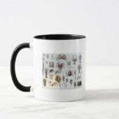 Mug Crustacés et arachnides (Gauche)