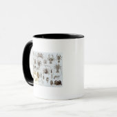Mug Crustacés et arachnides (Devant gauche)