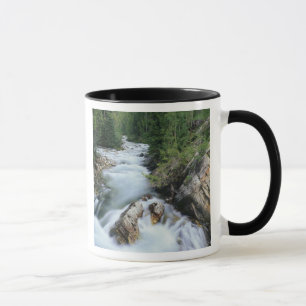 Mug Crystal River, Gunnison National Forest,
