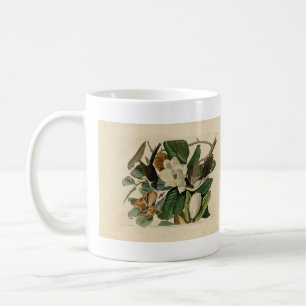 Mug Cuckoo à bec noir - Audubon's Birds of America