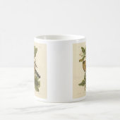 Mug Cuckoo de la mangrove des oiseaux d'Amérique d'Aud (Centre)