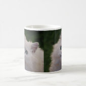 Mug Curieux chaton blanc mignon (Centre)