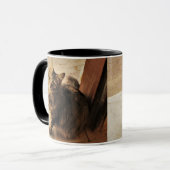 Mug Curieux Kitty (Devant gauche)