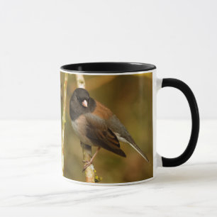 Mug Curieux oiseau-chanteur Junco à sourcils noirs