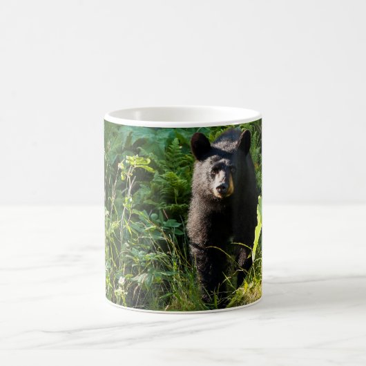 Mug Curieux ours noir (Centre)