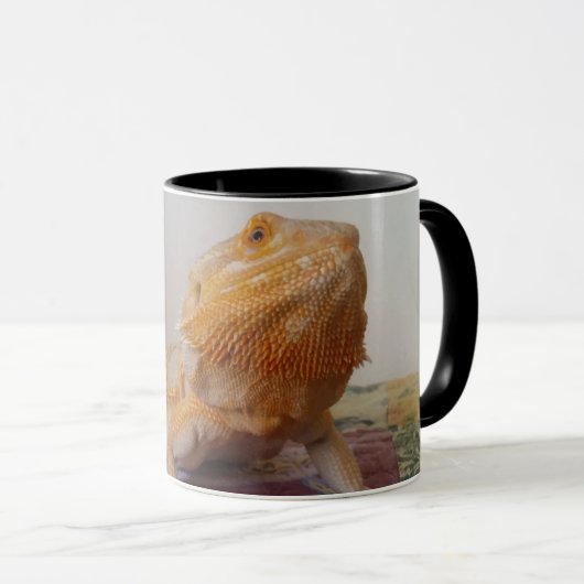 Mug Curieux Porte Dragon Photo Design Drôle (Devant droit)