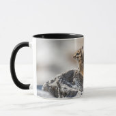 Mug Curious Brown Chipmunk – Alberta Wildlife (Gauche)