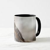 Mug Curious Brown Chipmunk – Alberta Wildlife (Devant droit)