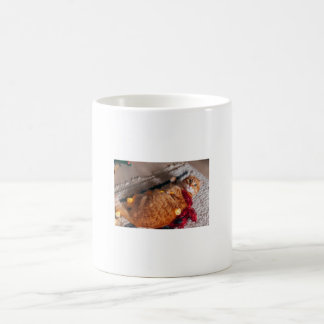 Mug Cute bouchon de chat orange