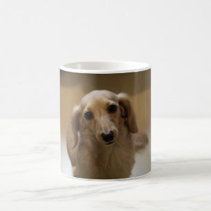 Mug Cute doggy