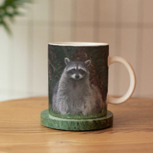 Mug Cute Forest Raccoon Photo Faune
