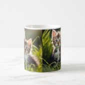 Mug Cute Kittens (Centre)