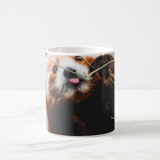 MUG CUTE KOALA BEAR (Centre)